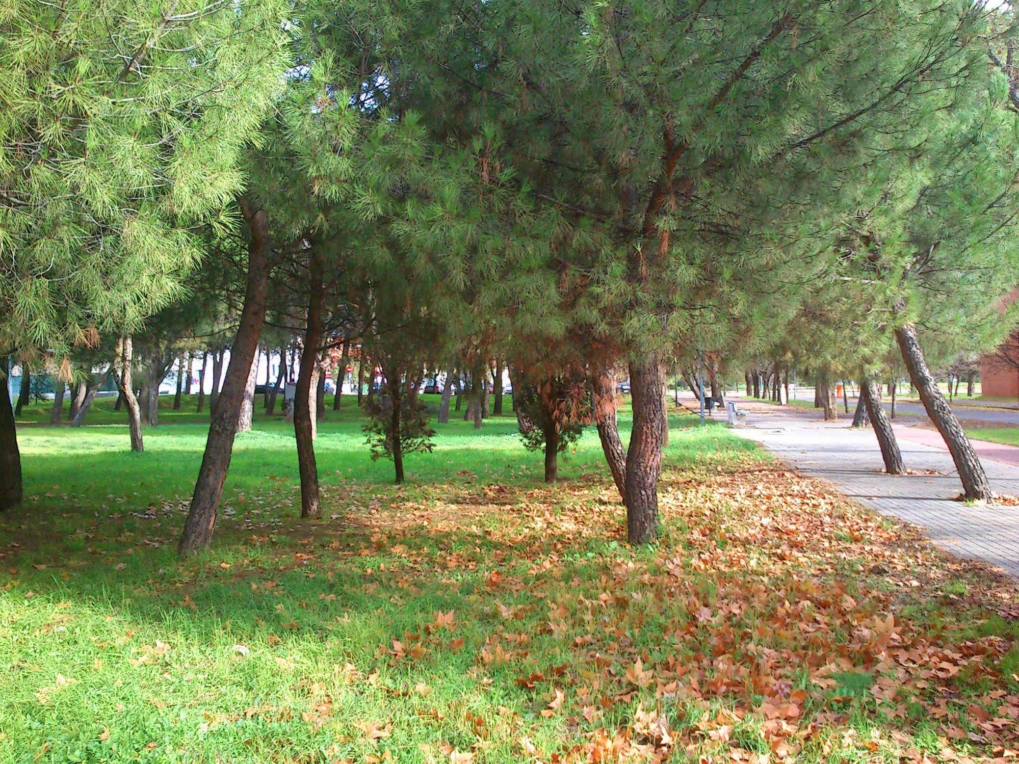Residencia Universitaria Resa Giner De Los Rios 알칼라데에나레스 외부 사진